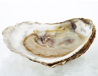 Calcarea Carb - Homeopathic Medicine and its Uses & Indications
