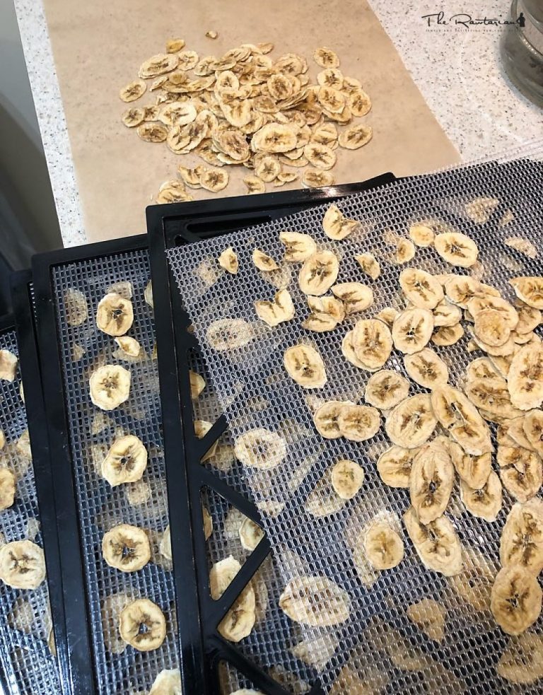 Dehydrated Banana Chips
