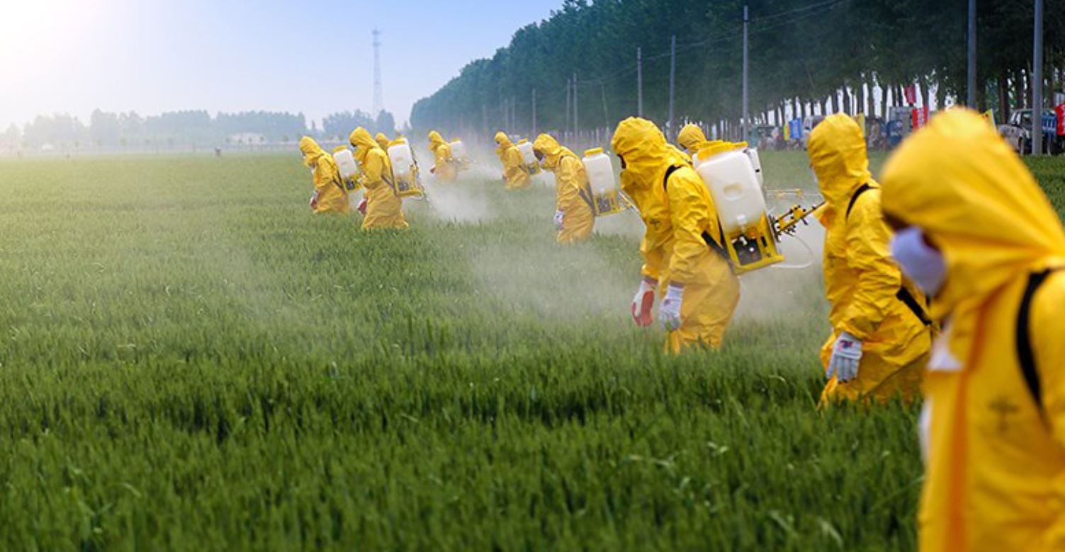 Playing Pesticide Politics with Children’s Health