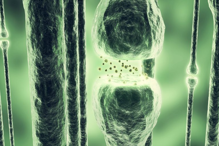 Targeting the Endocannabinoid System May be Next Solution to OCD – Naturopathic Doctor News and Review
