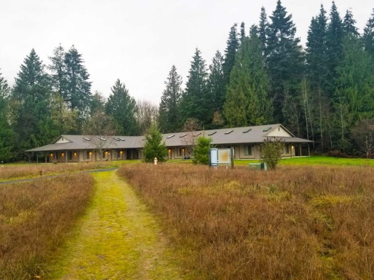 Vipassana Meditation Experience | Raw Revive