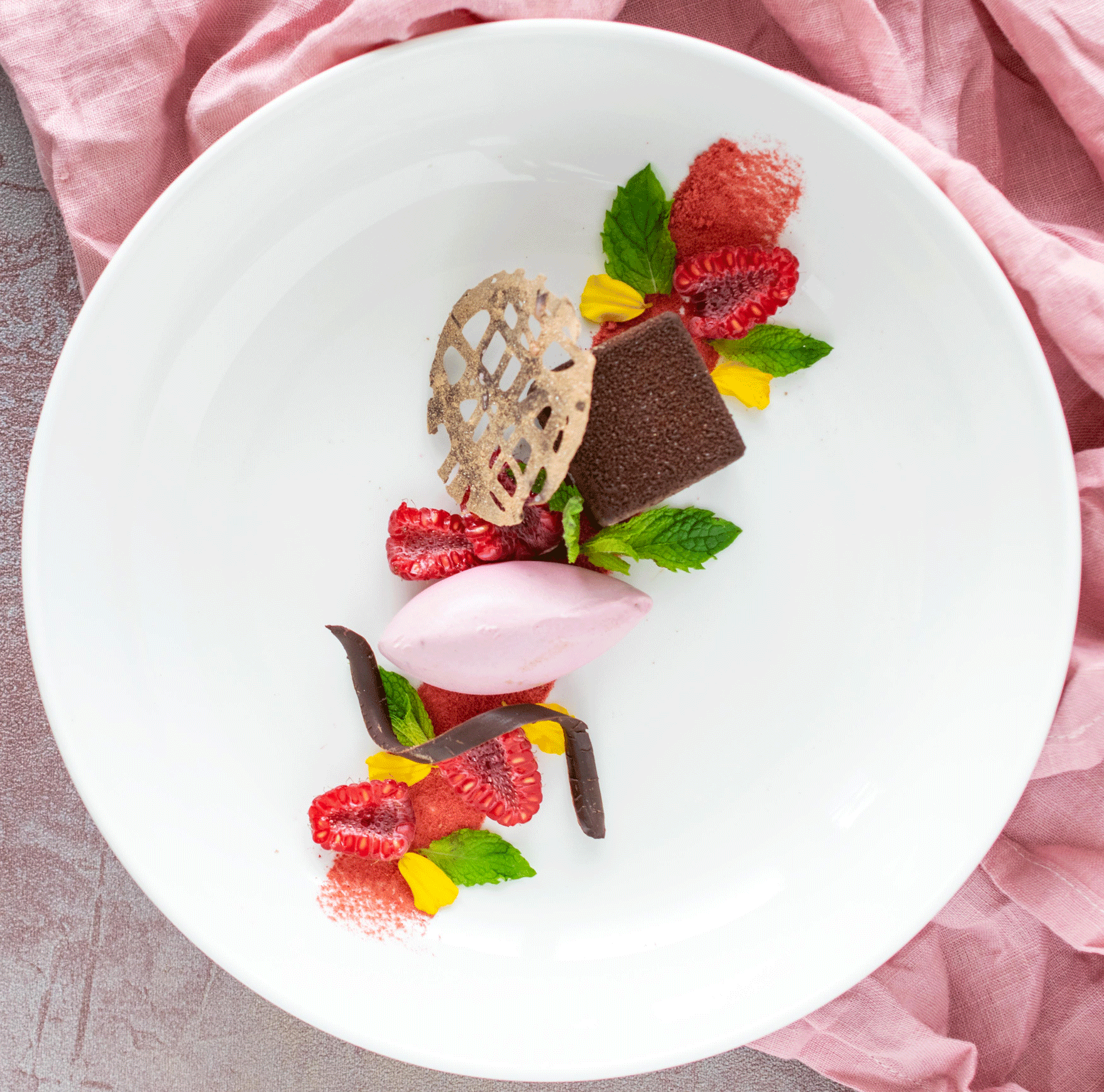 Raspberry Chocolate Ganache with Coconut Ice Cream