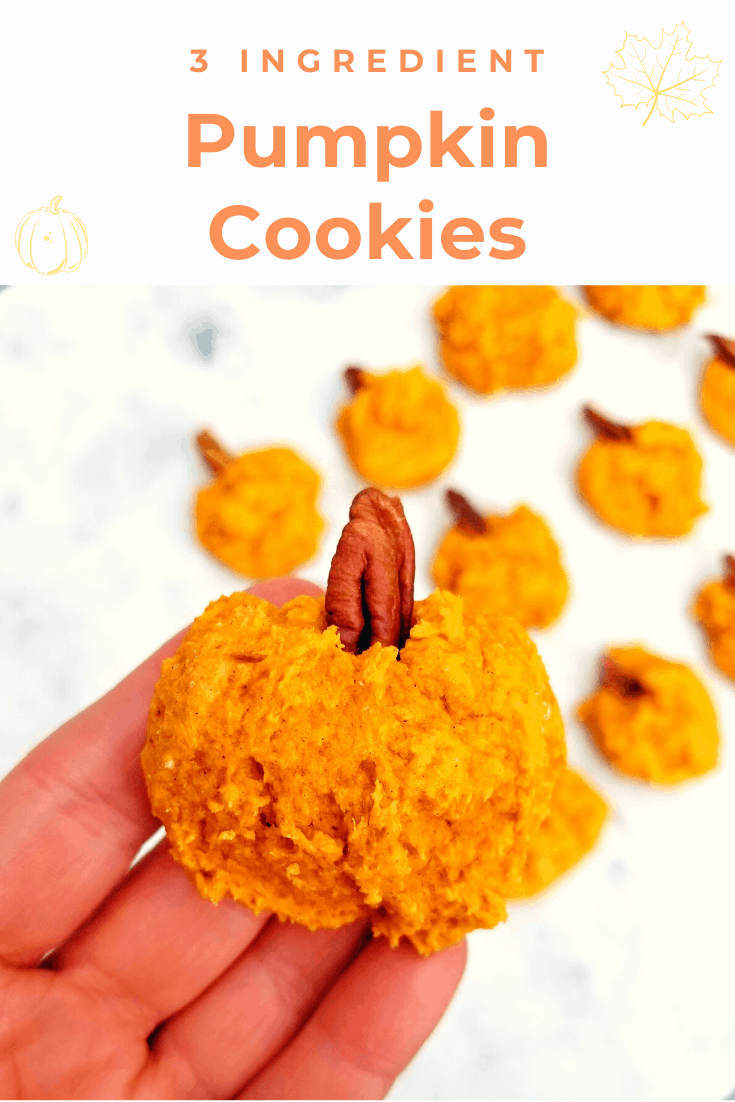 3 ingredient pumpkin cookies cake mix