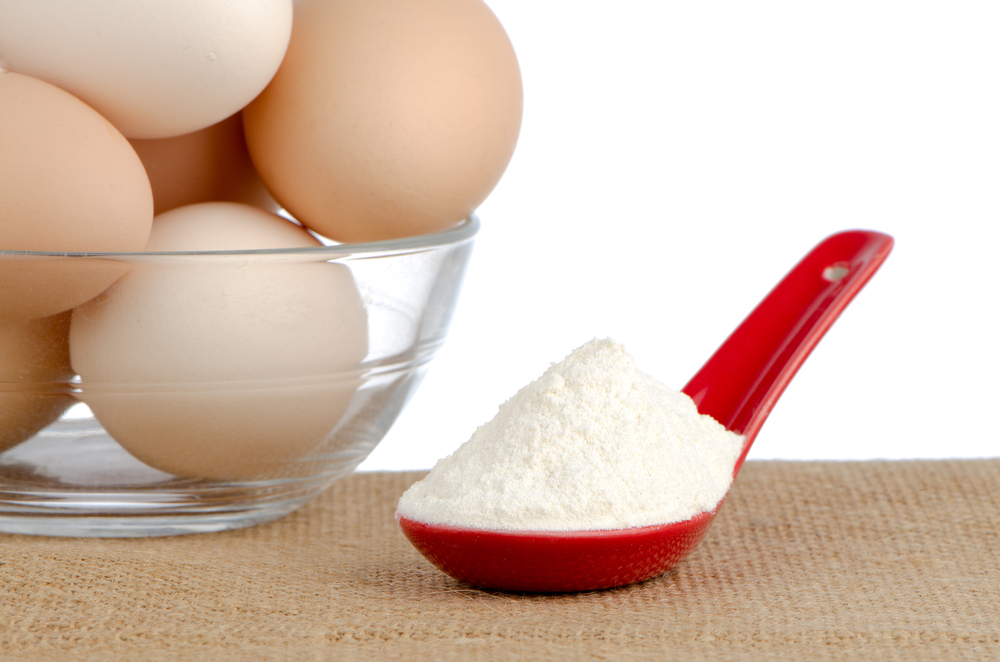 Egg White Protein Powder Egg White Protein Powder