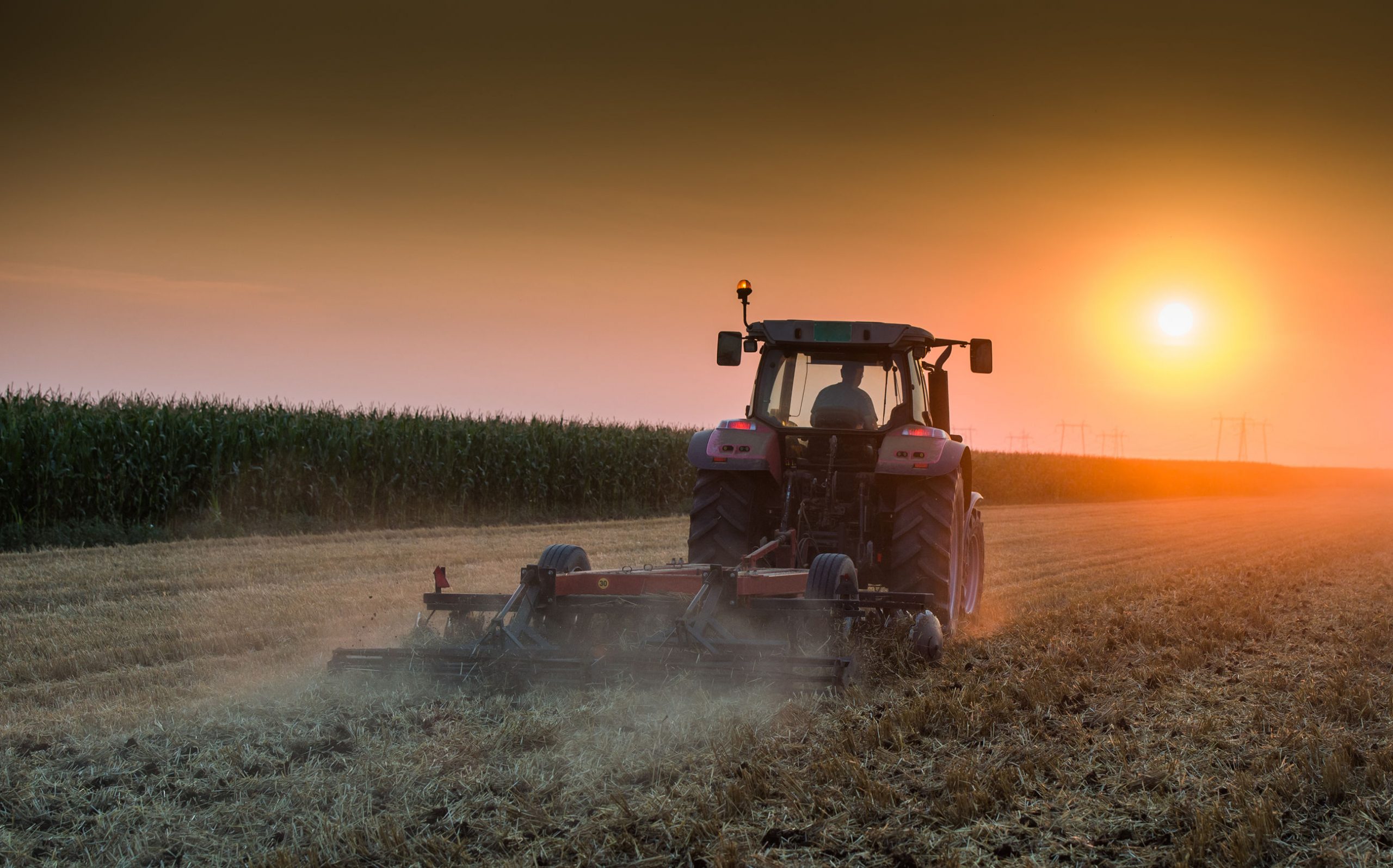 Suicide Rates are Increasing in America, Especially in Rural Areas – Naturopathic Doctor News and Review