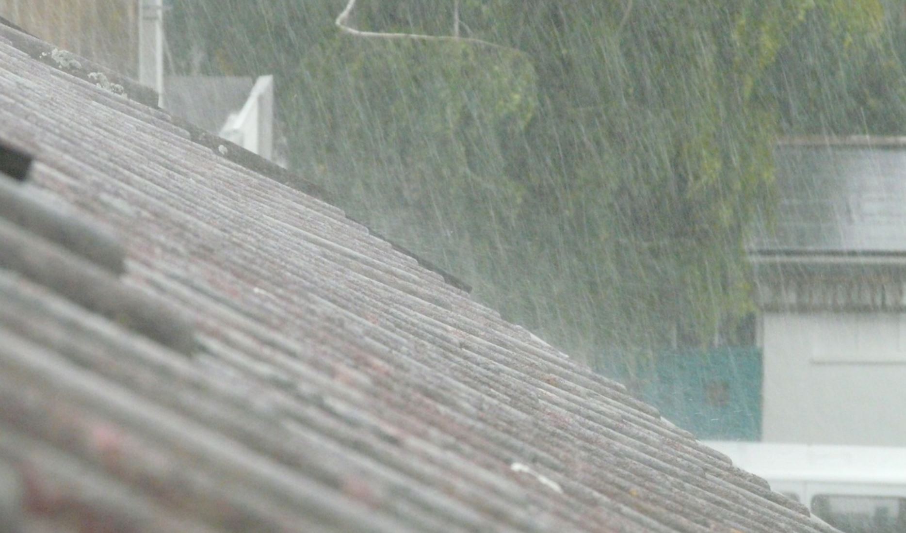 Prepping: DIY Rainwater Harvesting System