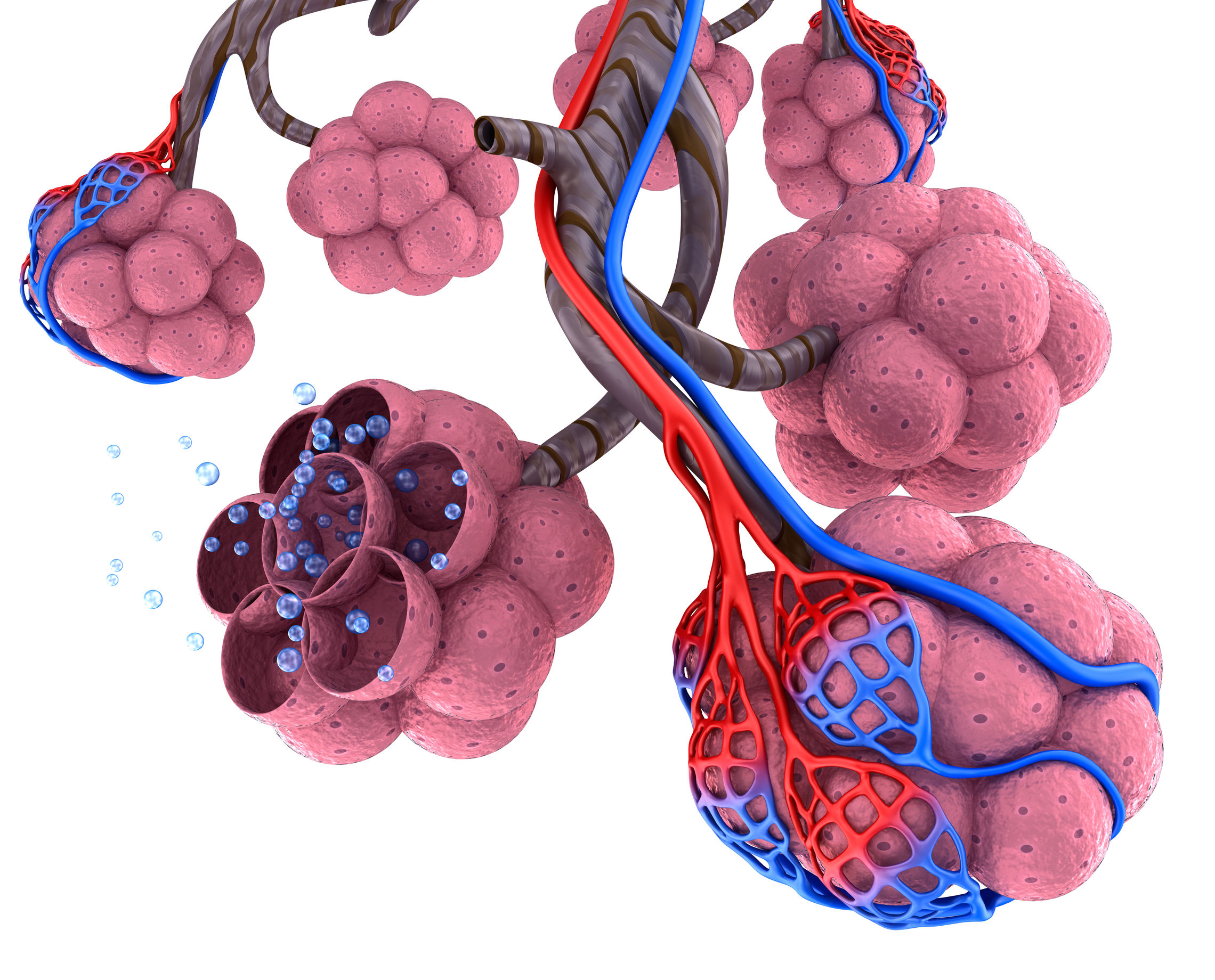 How Oxygen Transfers in Diseased Lung Tissue – Naturopathic Doctor News and Review