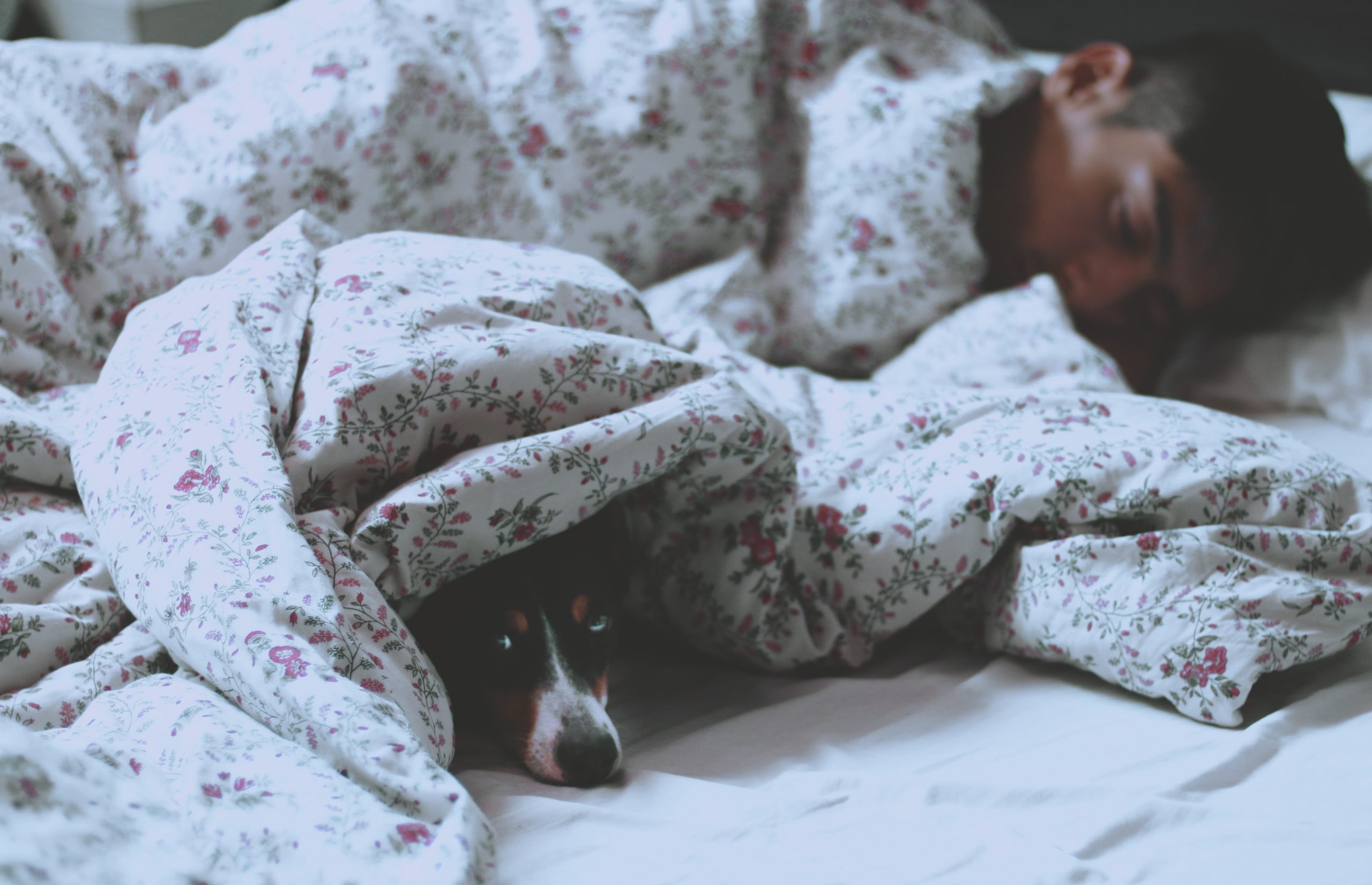 What Happens in the Brain to ‘Disconnect’ During Sleep? – Naturopathic Doctor News and Review