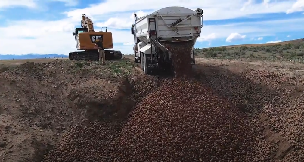 Government Forces Farms to Shut Down Over Covid