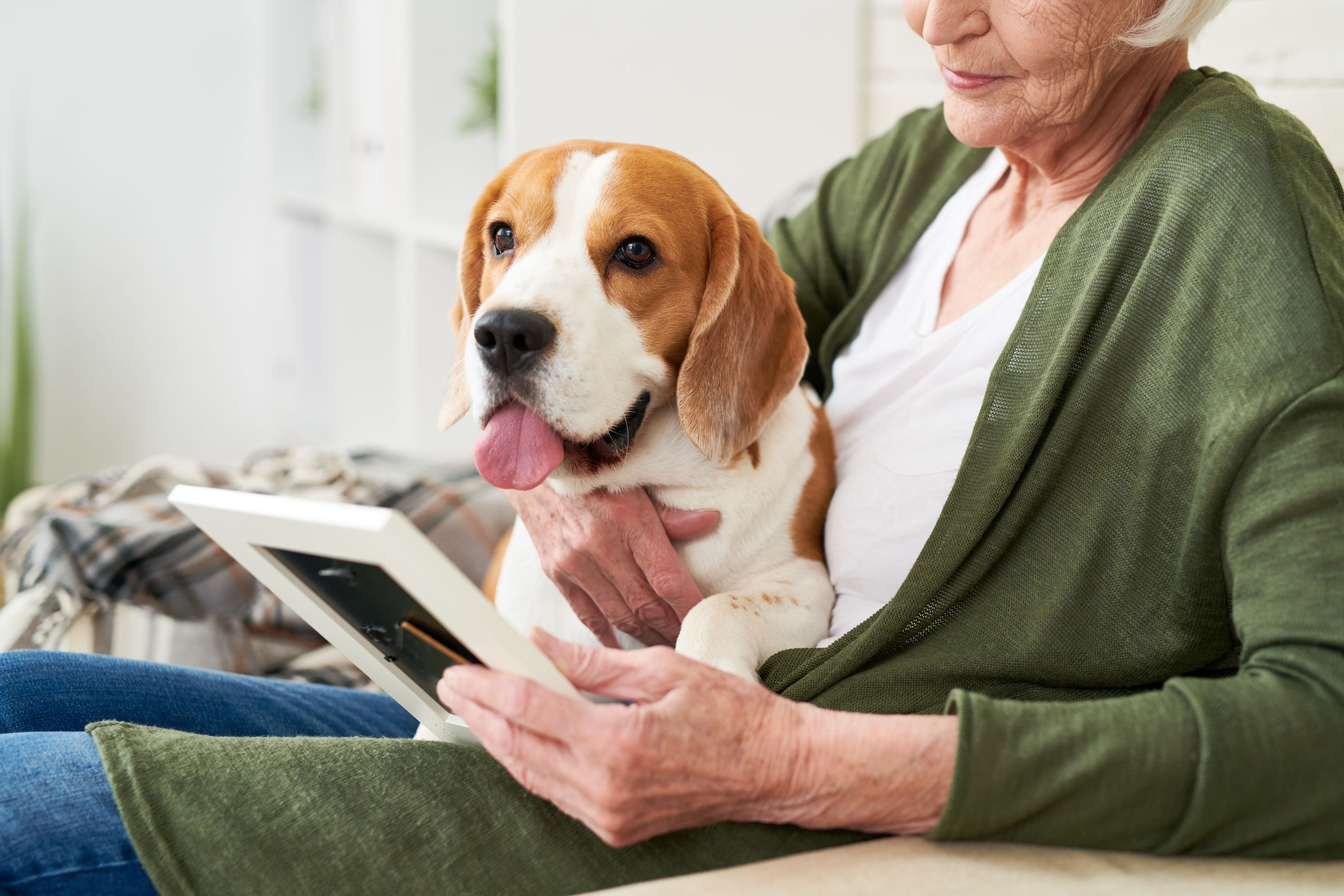 Emotional Attachment to Memories Make them Stronger – Naturopathic Doctor News and Review