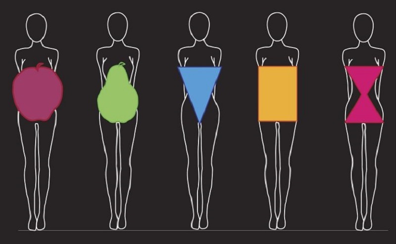 body type
