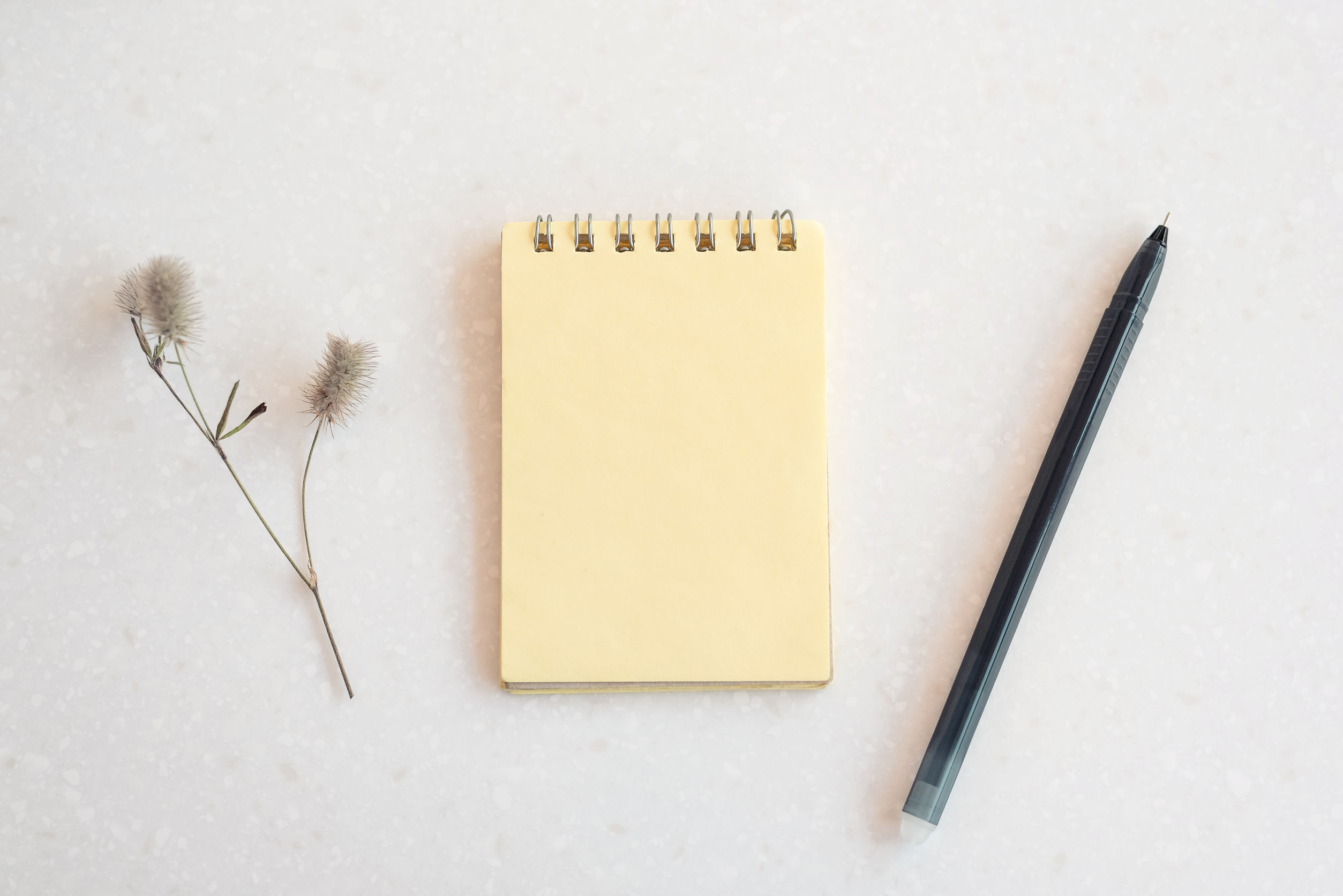 Notes From The Field