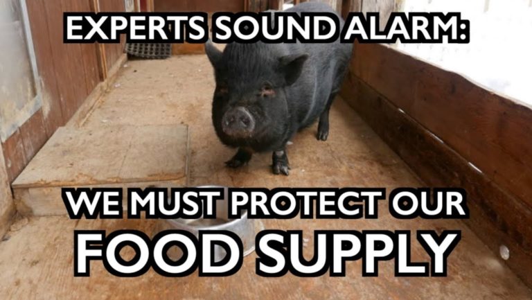 We Must Protect Our Food Supply