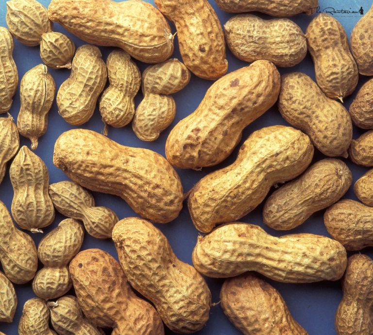 Raw peanuts: Should you or shouldn't you?