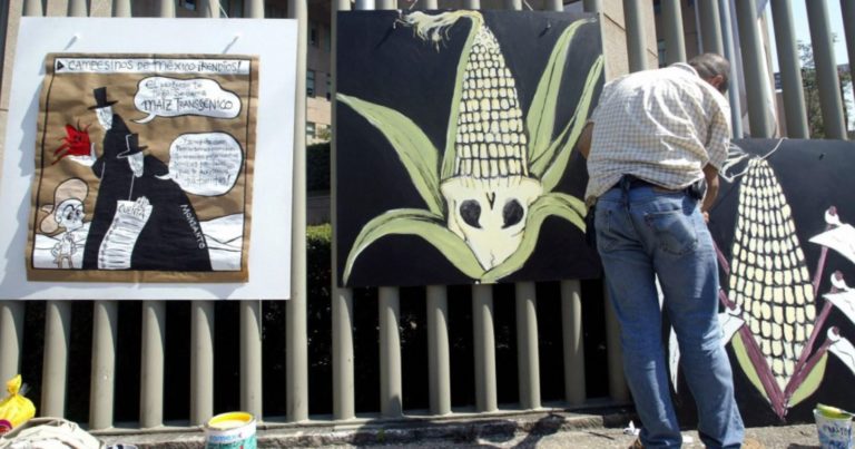 80 Groups Blast US Interference in Mexico's Phaseout of Glyphosate and GM Corn