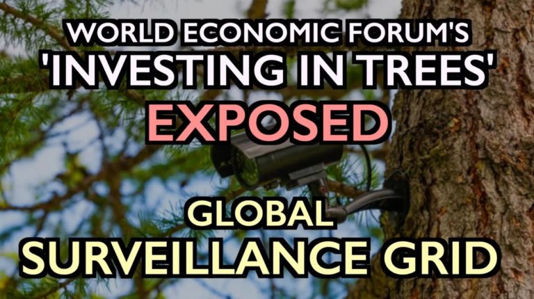 WEF's "Invest in Forests" Exposed: Global Surveillance Grid
