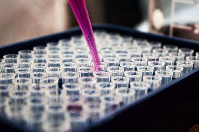 Why Boutique CROs Are Ideal for Running Your Clinical Trial