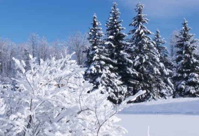 4 best facial treatments for the winter